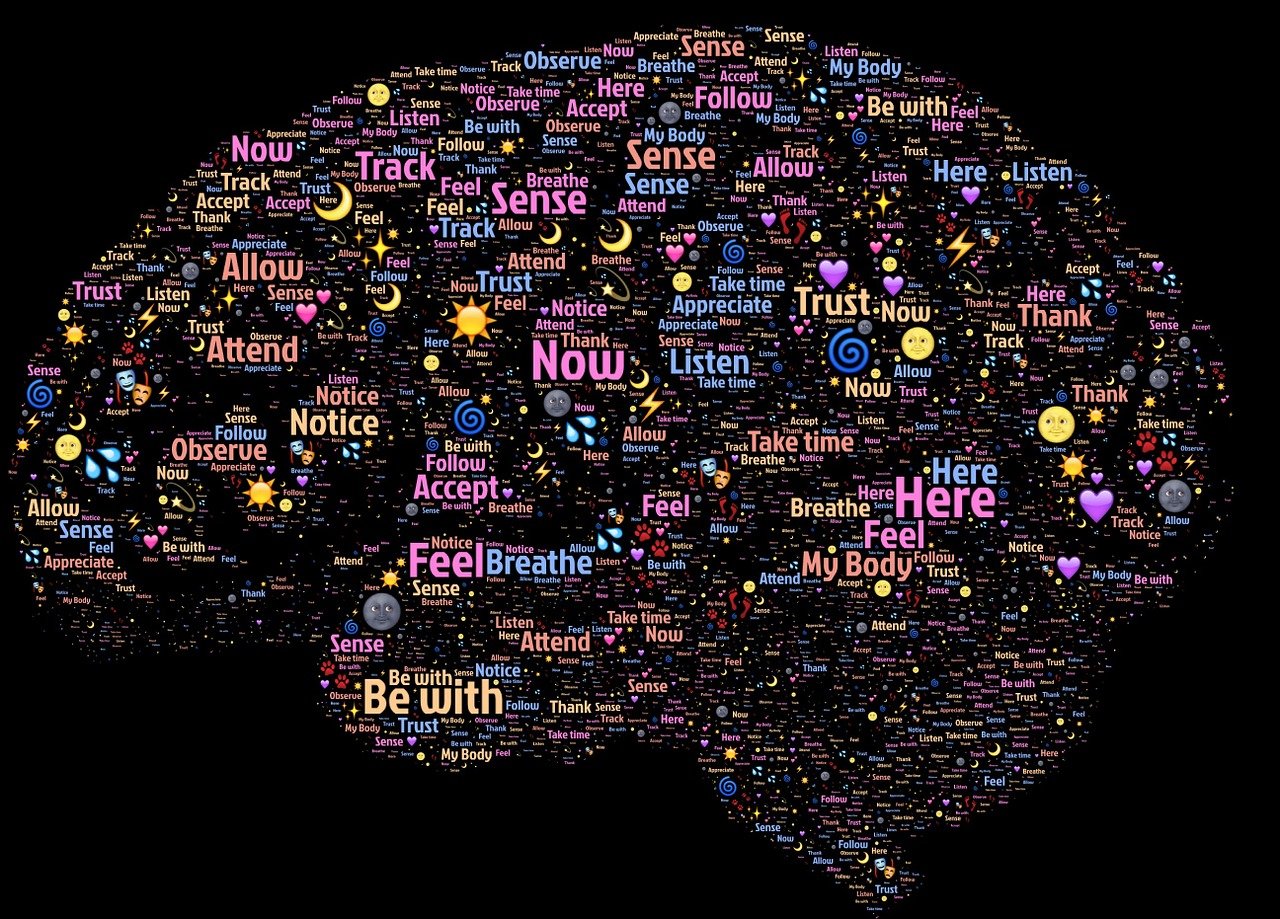 核重编程，开启生命科学新纪元-  第1张