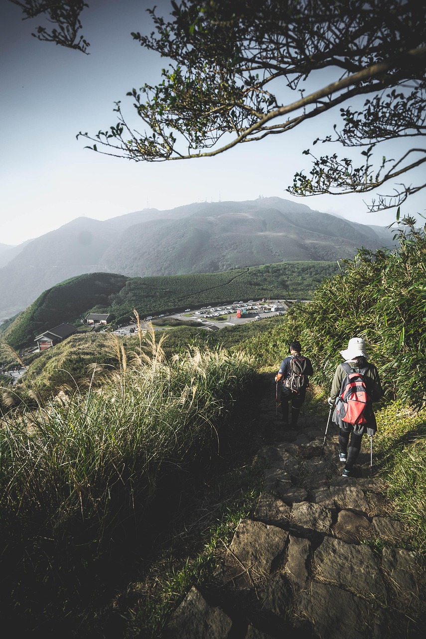 南阳至南召，汽车之旅的探索与发现-  第1张